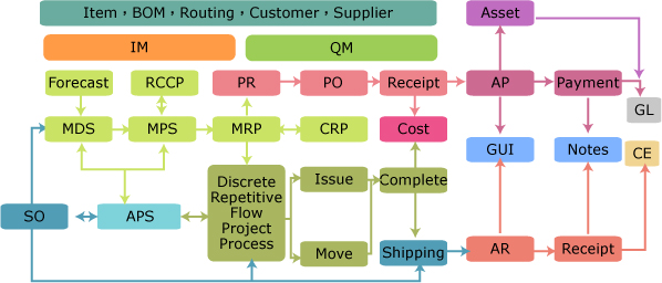 Oracle ERP Structure