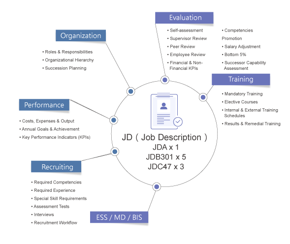 Job Descriptions Cover Required Competencies, Experience, Performance Evaluation, and Promotion Criteria
